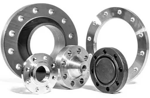 Matching Stainless Steel Flanges